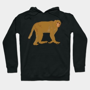 Baboon Monkey Hoodie